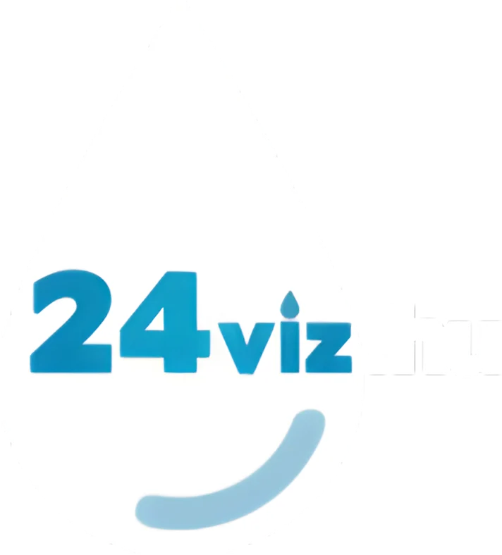 24viz